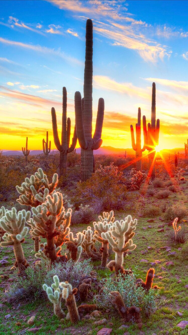 Tucson Arizona Wallpapers