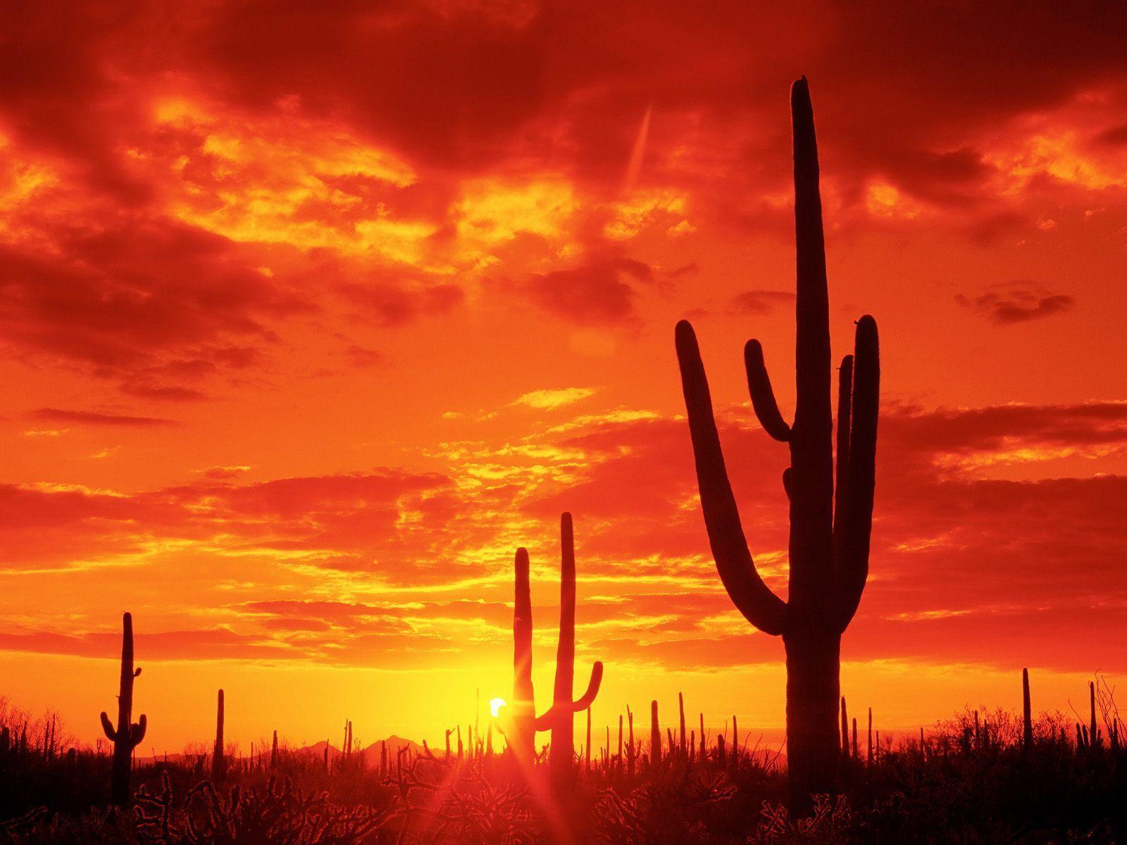 Tucson Arizona Wallpapers