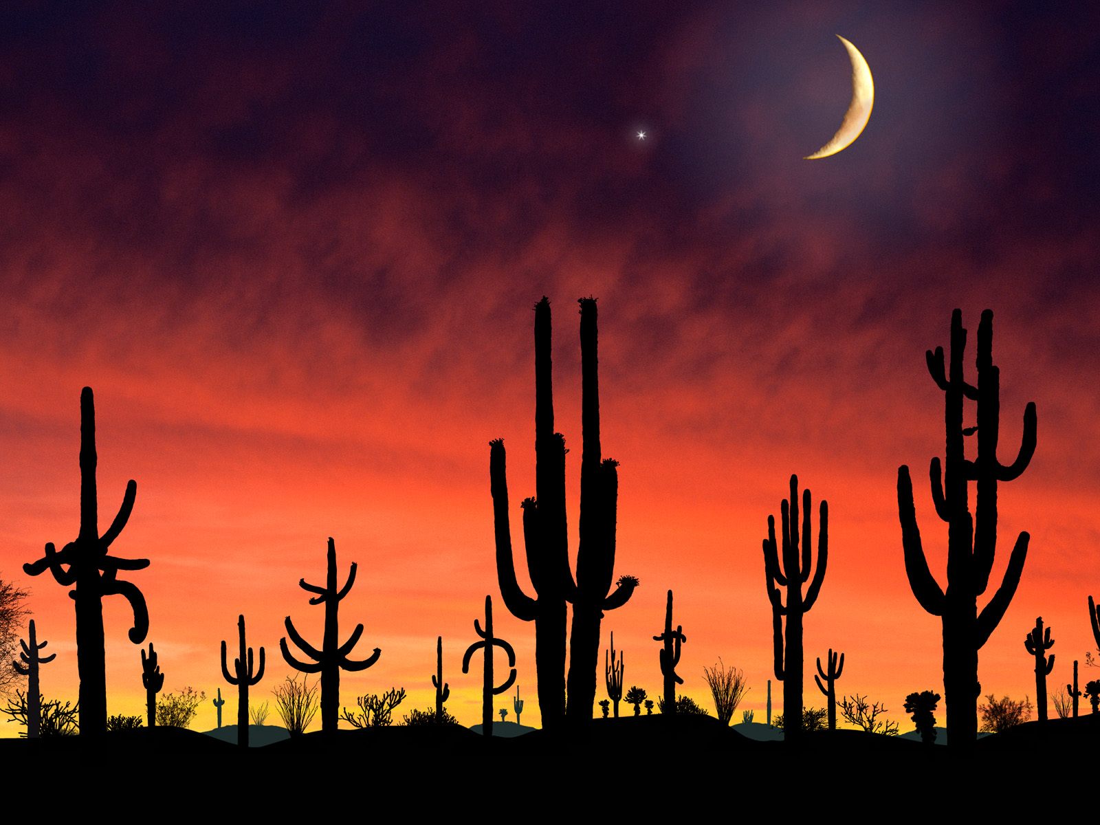 Tucson Arizona Wallpapers