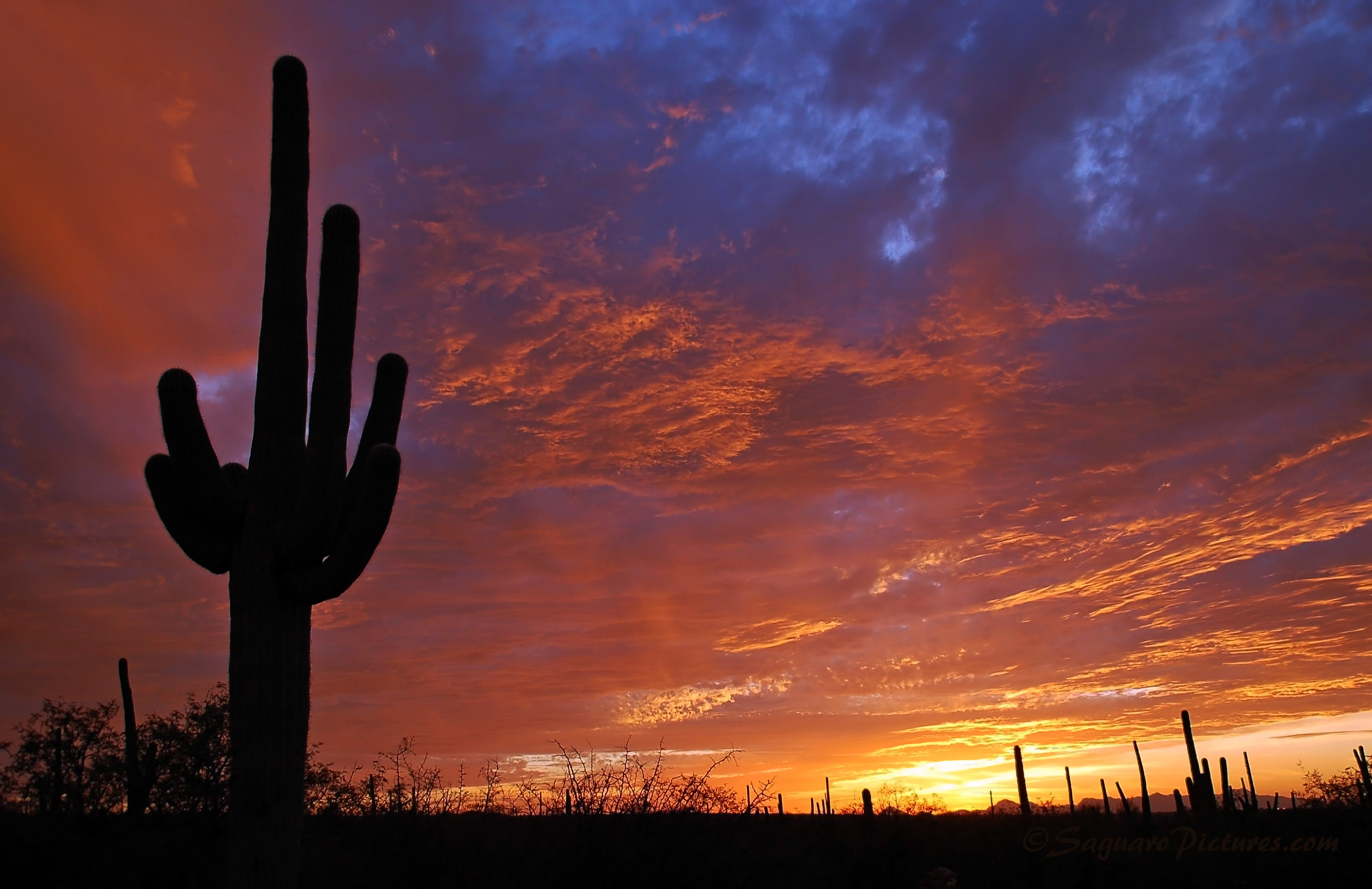 Tucson Sunset Wallpapers