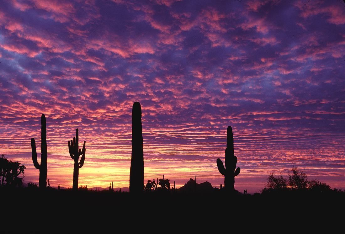 Tucson Sunset Wallpapers