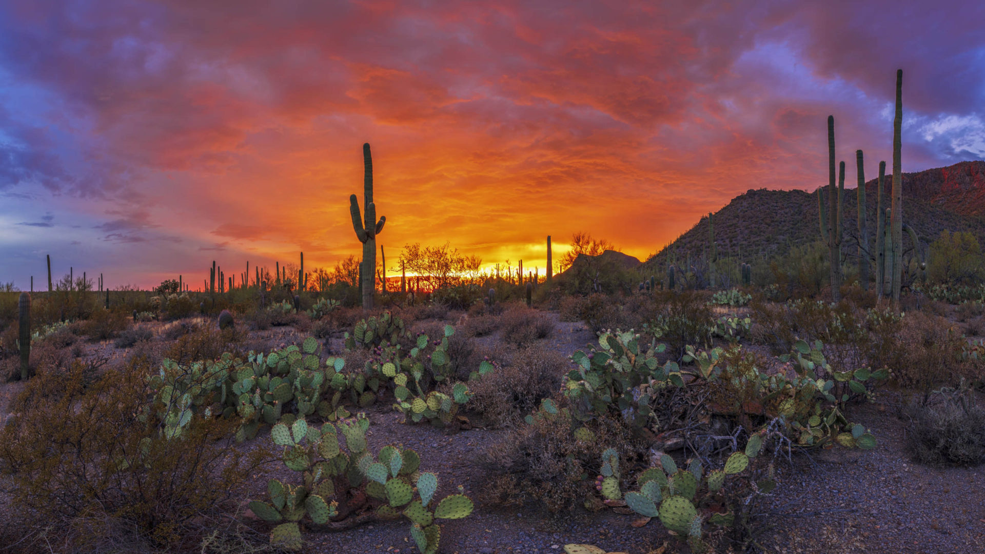 Tucson Sunset Wallpapers