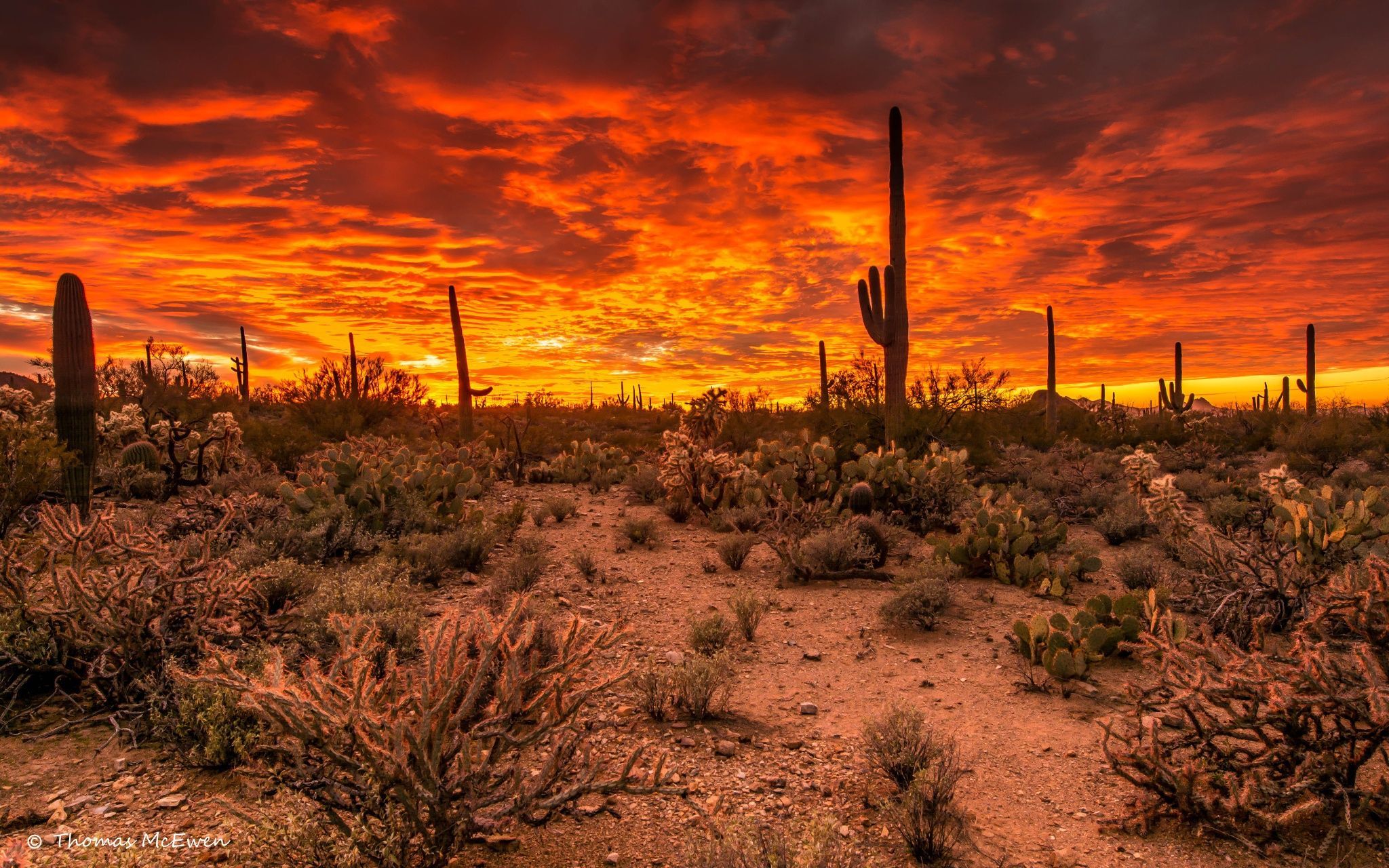 Tucson Sunset Wallpapers