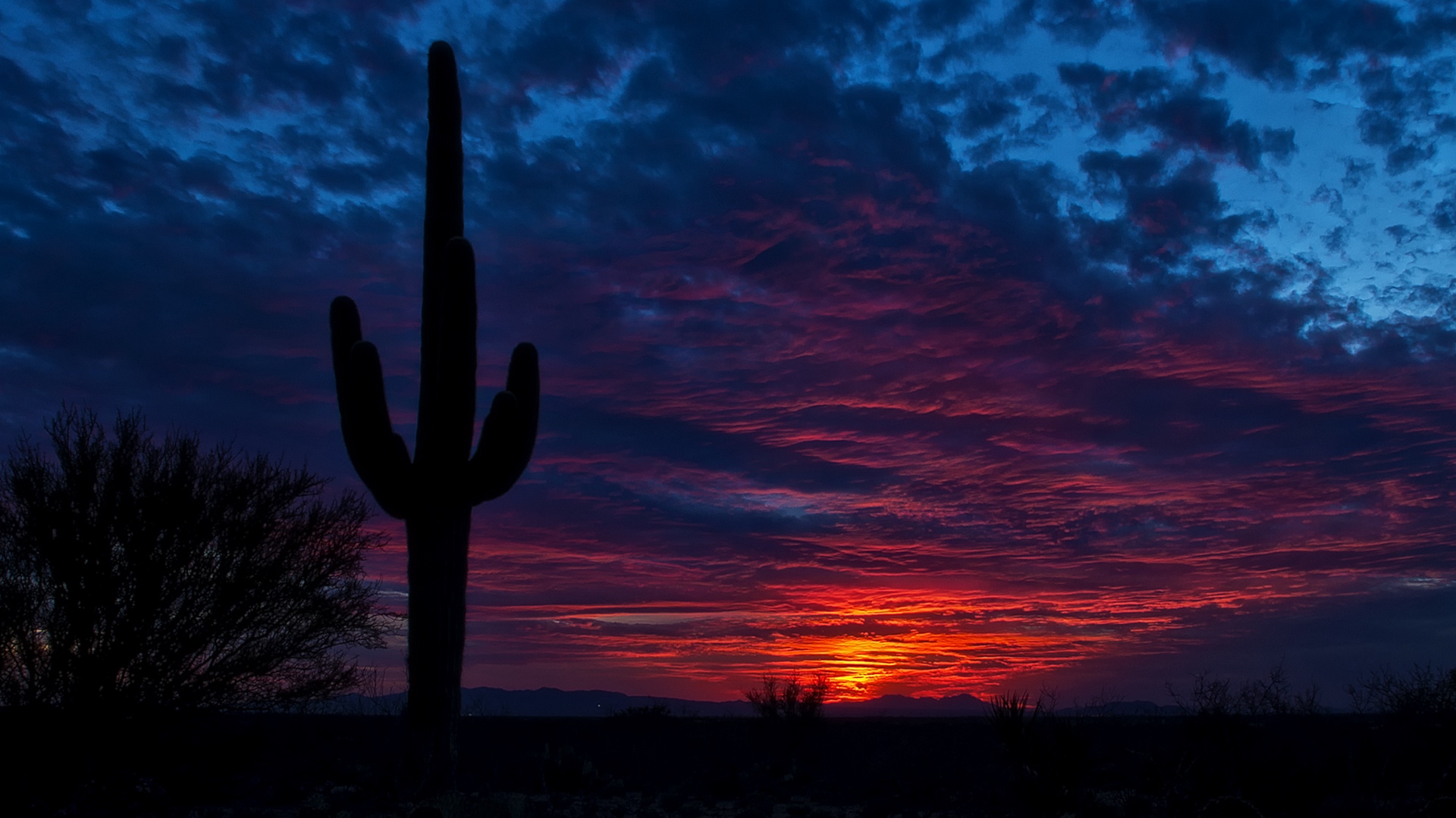 Tucson Sunset Wallpapers