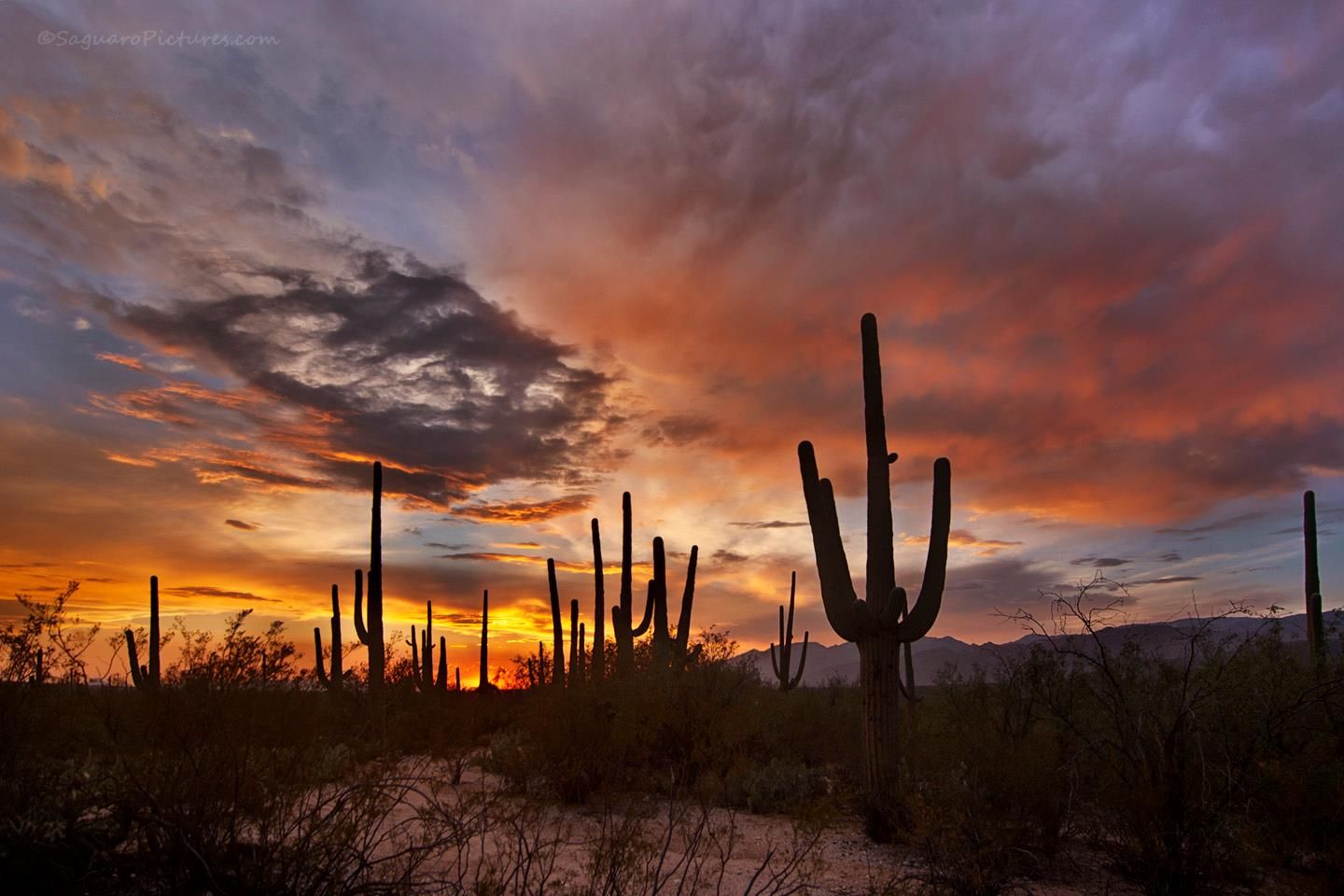 Tucson Sunset Wallpapers