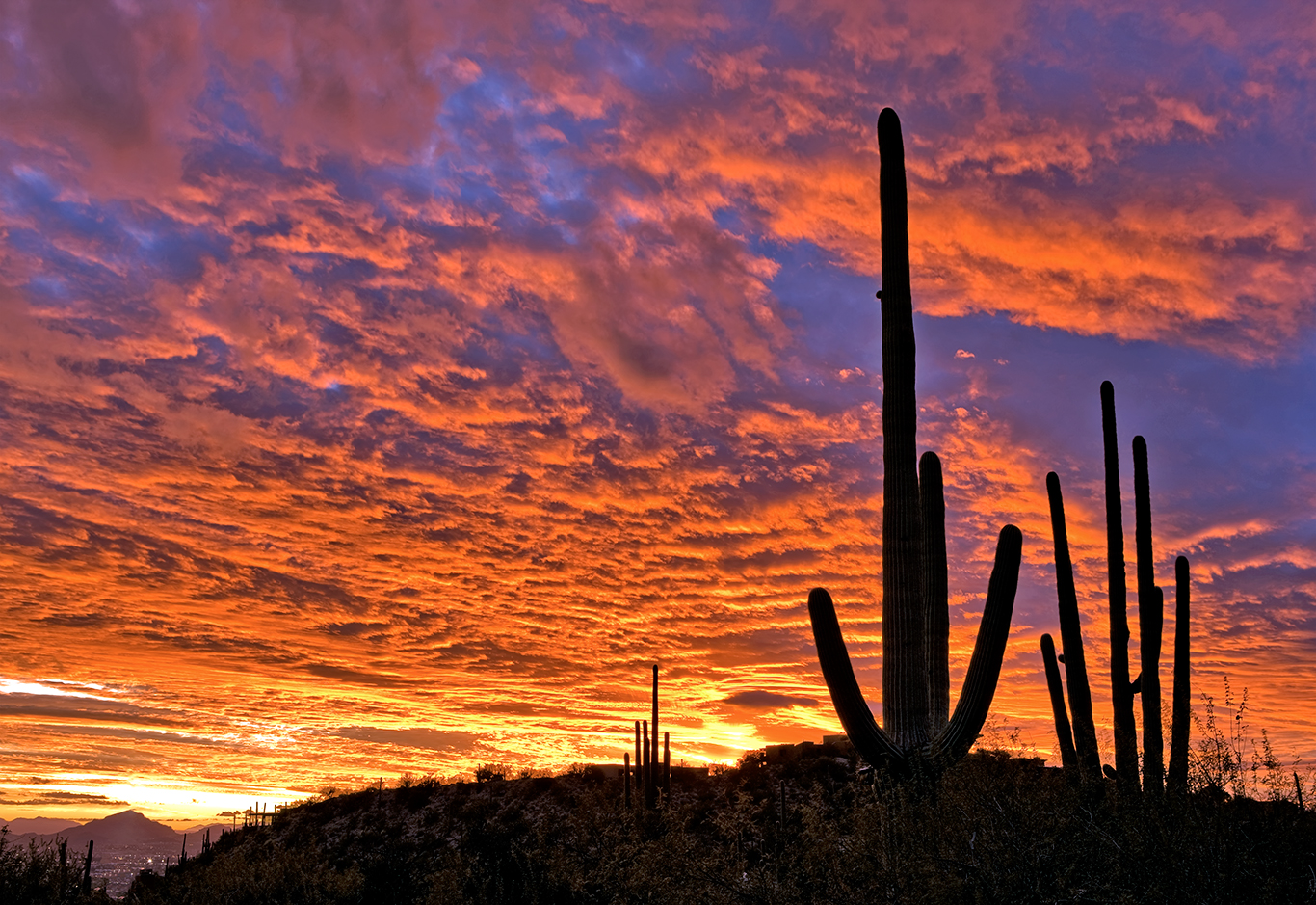 Tucson Sunset Wallpapers