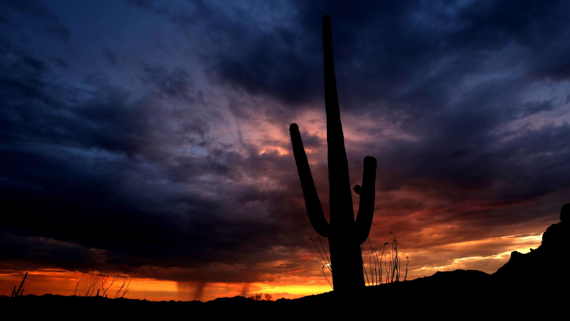 Tucson Sunset Wallpapers