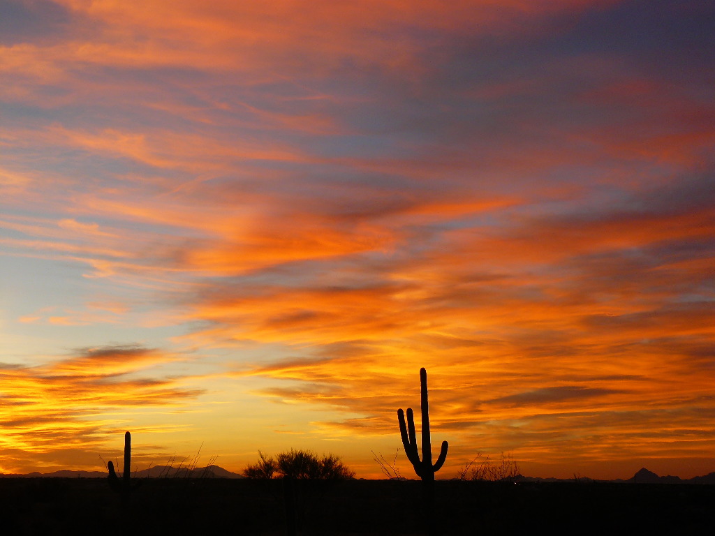 Tucson Sunset Wallpapers