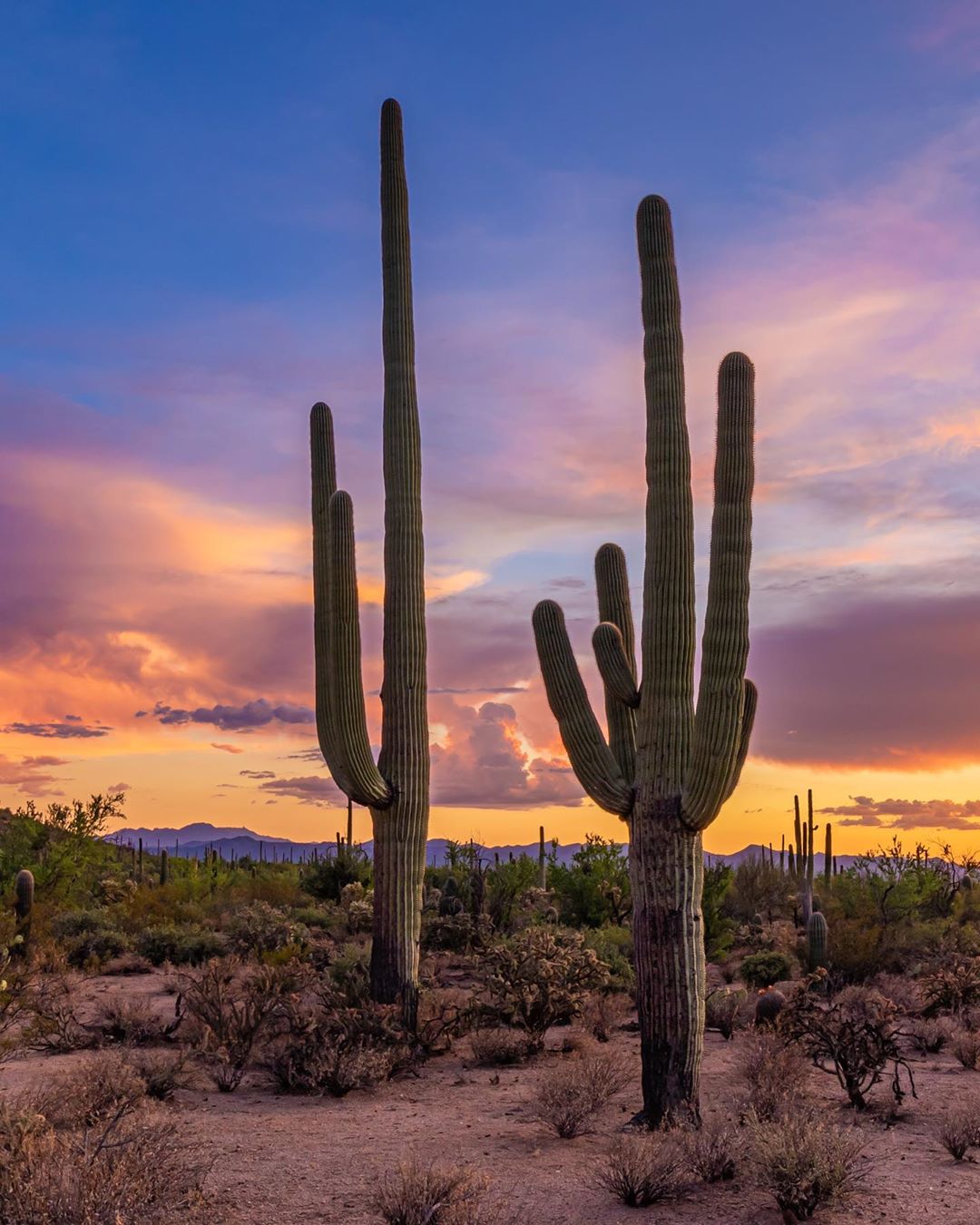 Tucson Sunset Wallpapers