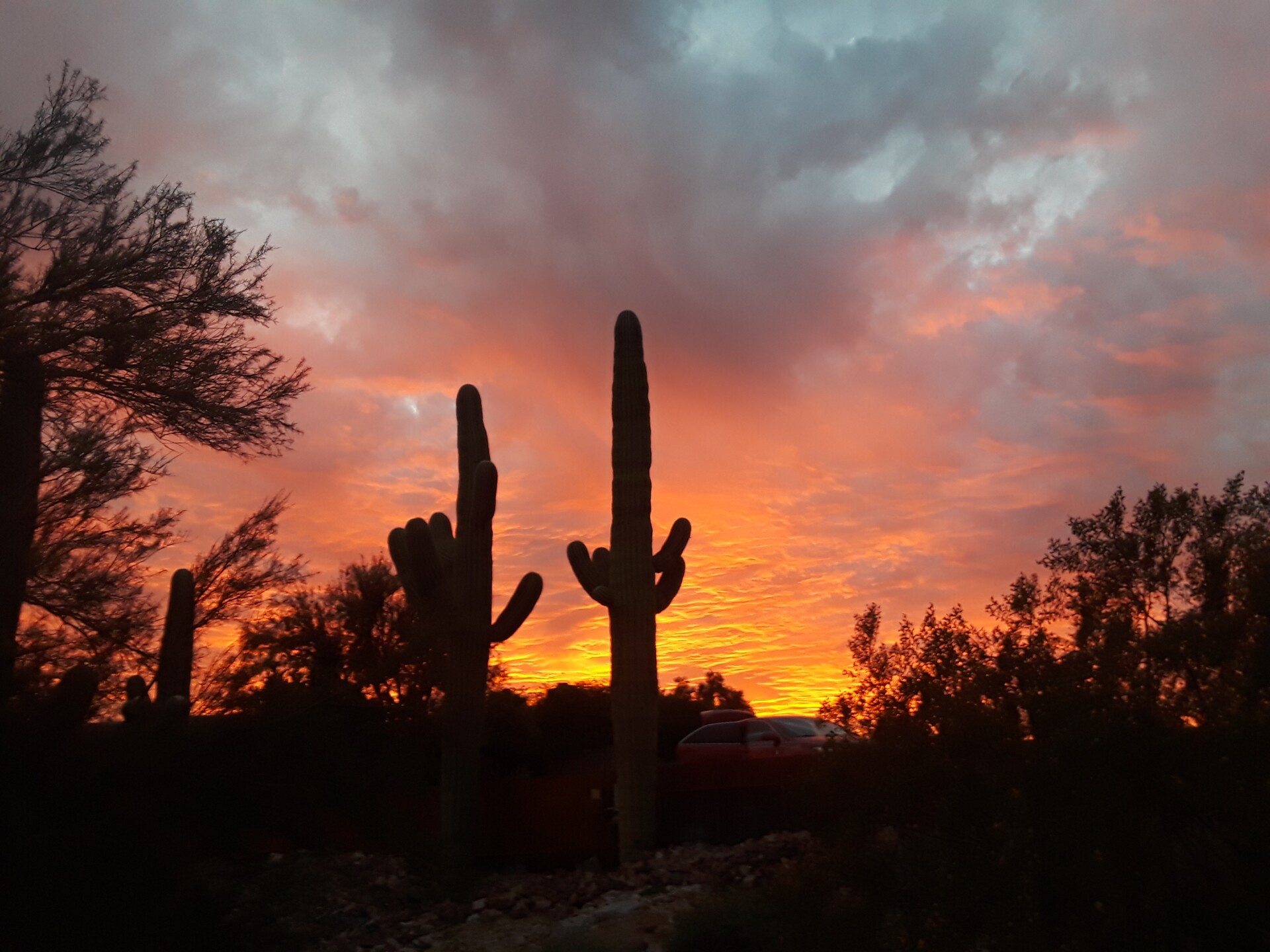 Tucson Sunset Wallpapers