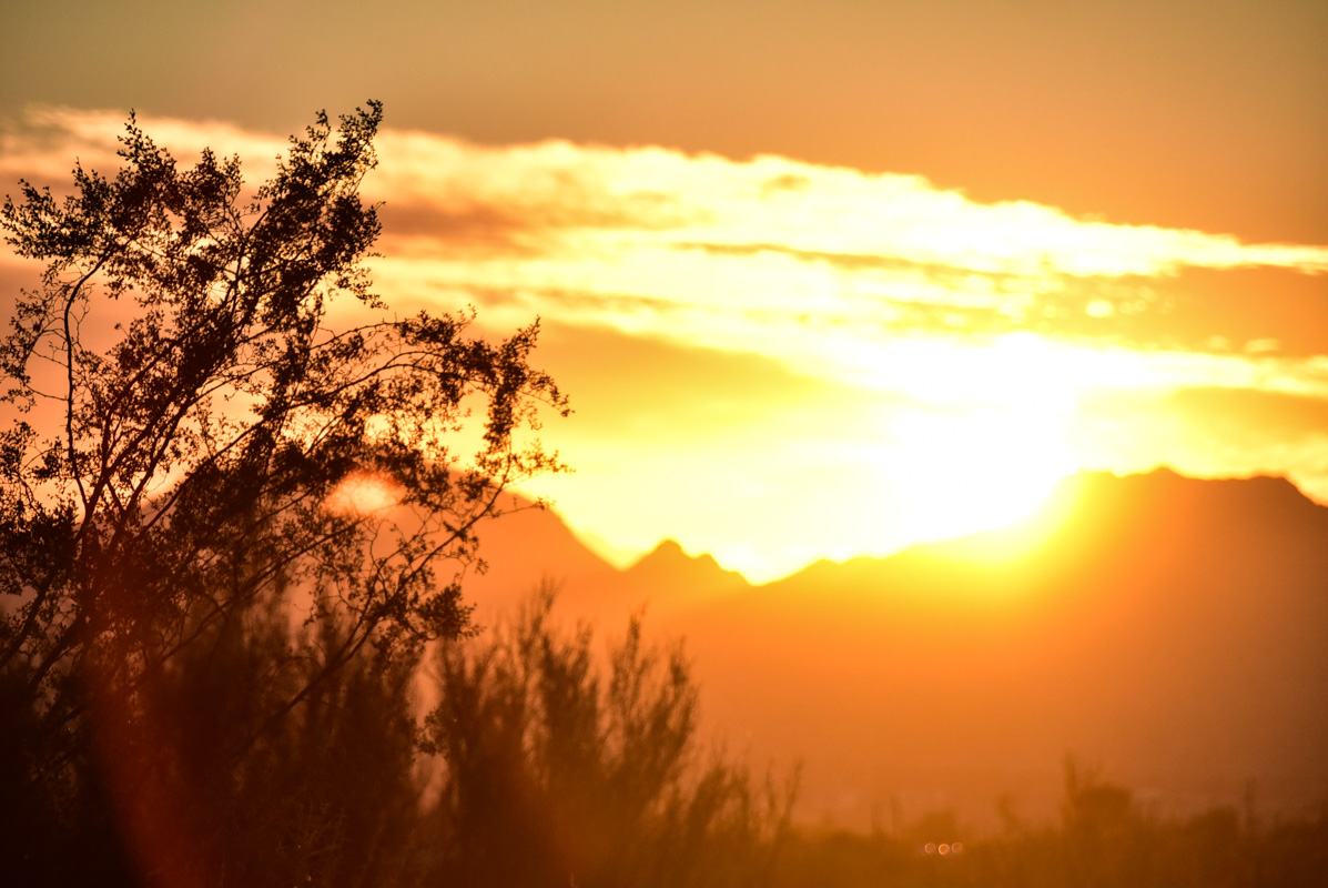 Tucson Sunset Wallpapers