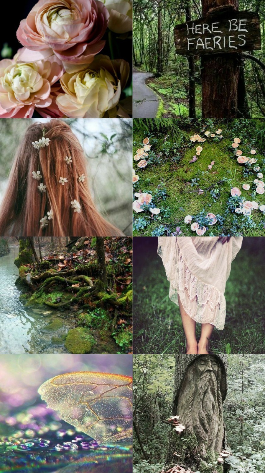Tumblr Forest Aesthetic Wallpapers