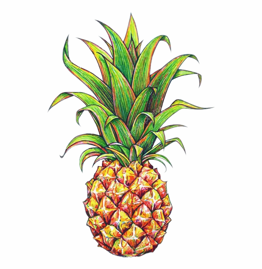 Tumblr Pineapple Wallpapers