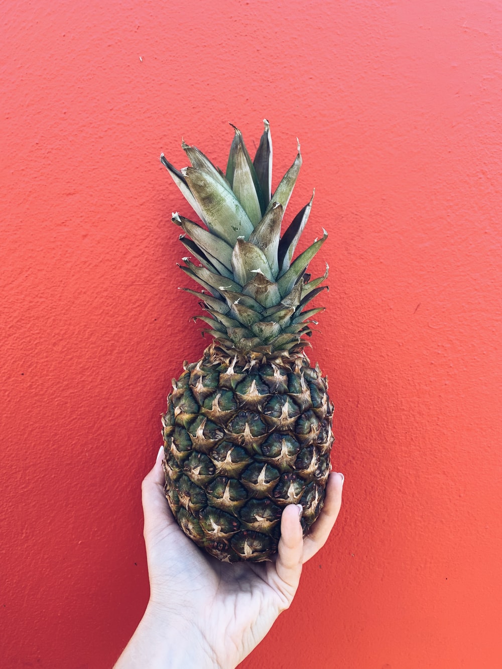 Tumblr Pineapple Wallpapers