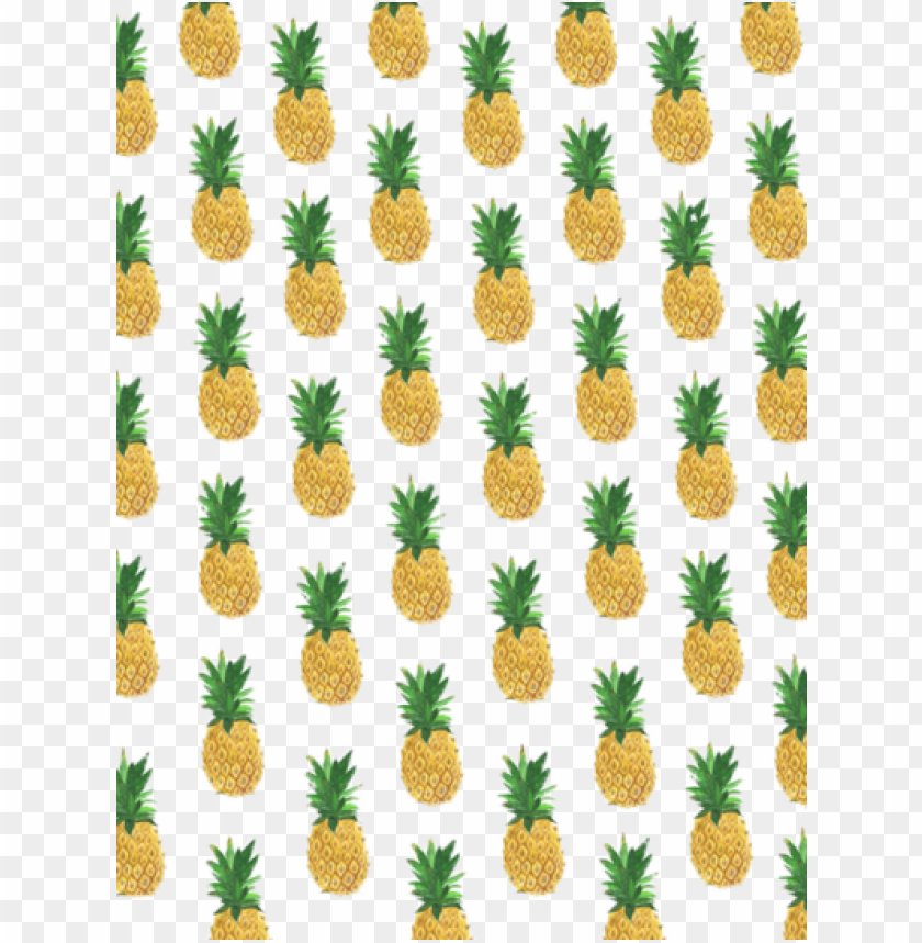 Tumblr Pineapple Wallpapers