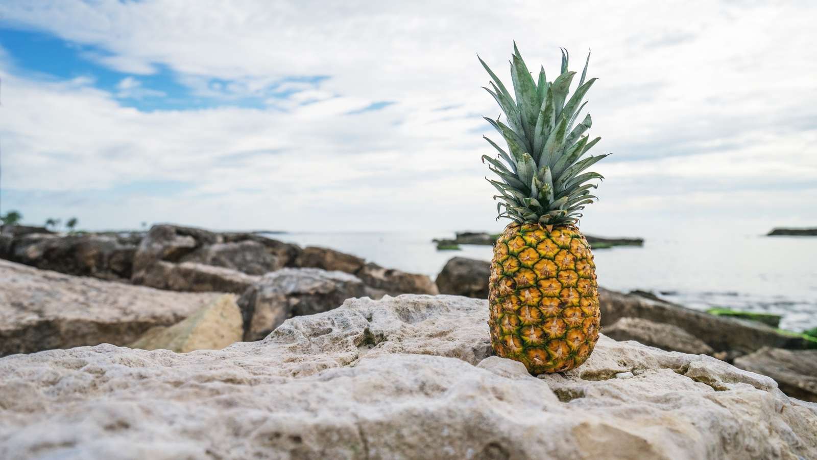 Tumblr Pineapple Wallpapers