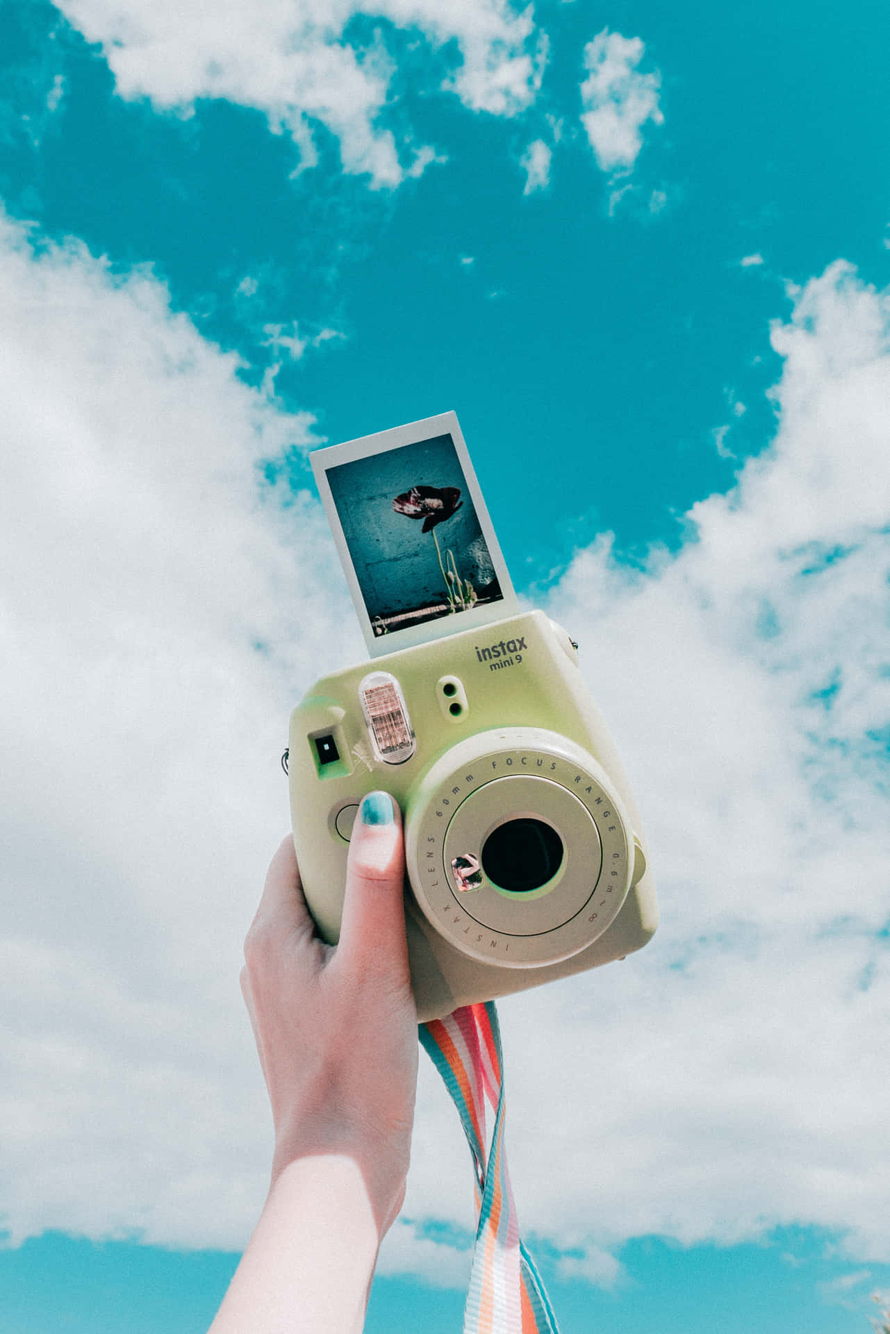 Tumblr Polaroid Cameras Wallpapers