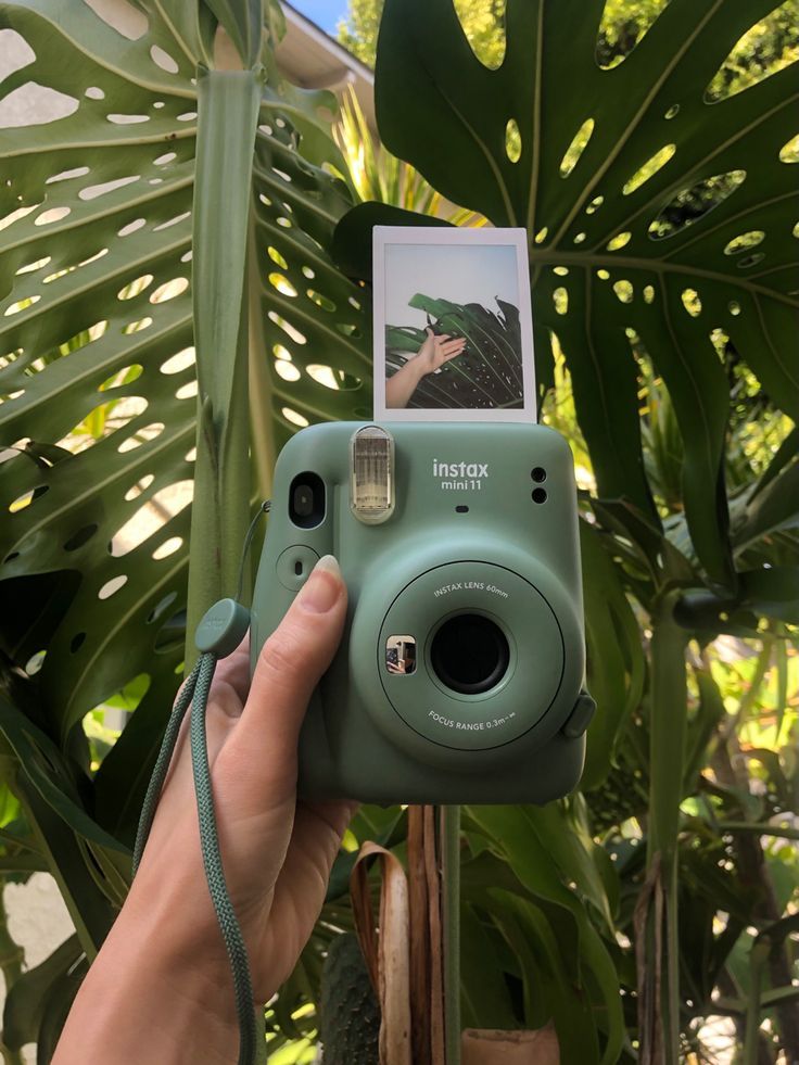 Tumblr Polaroid Cameras Wallpapers