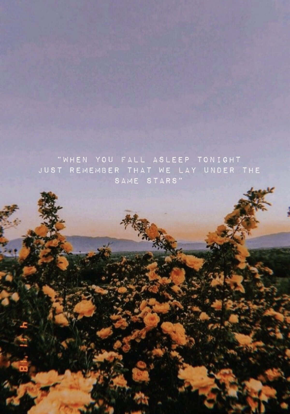 Tumblr Quote Wallpapers