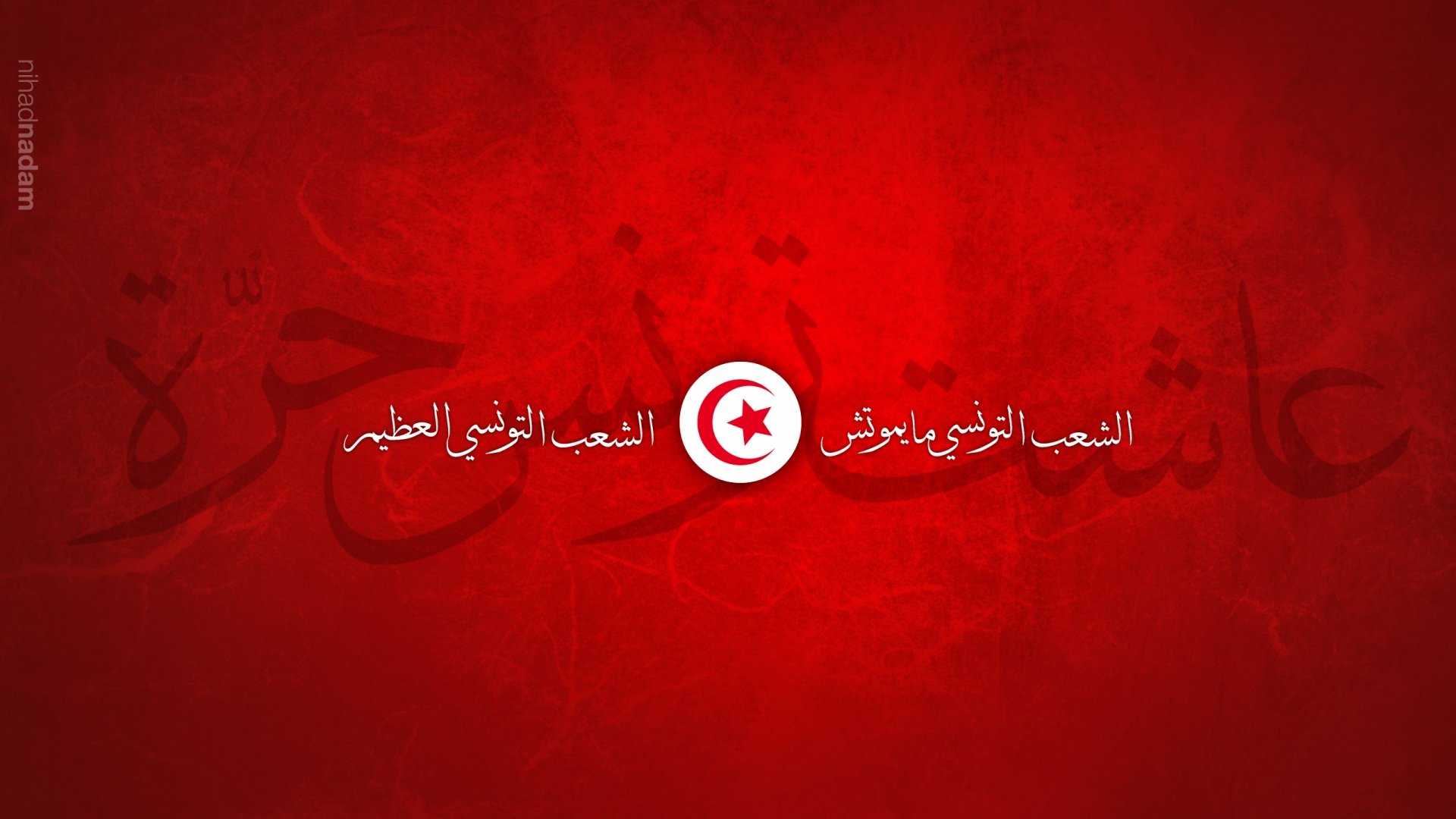 Tunisia Flag Wallpapers