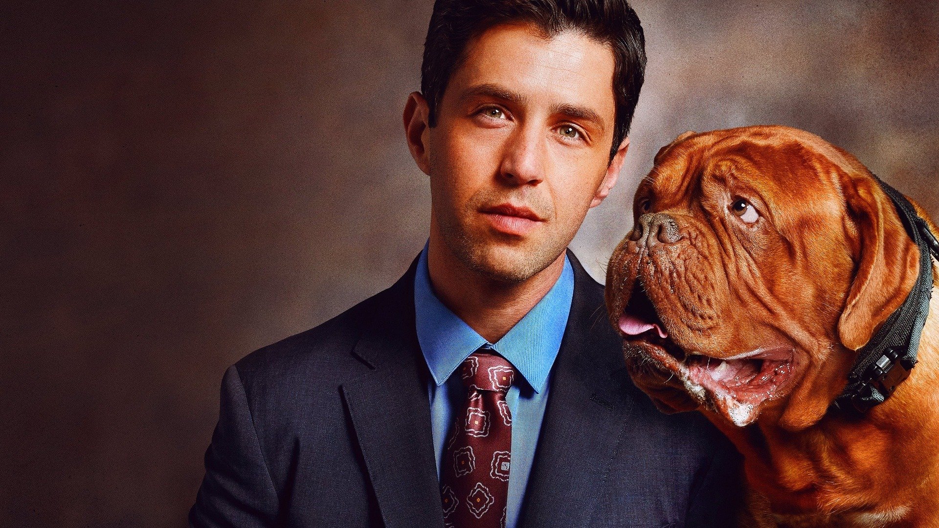 Turner & Hooch Wallpapers