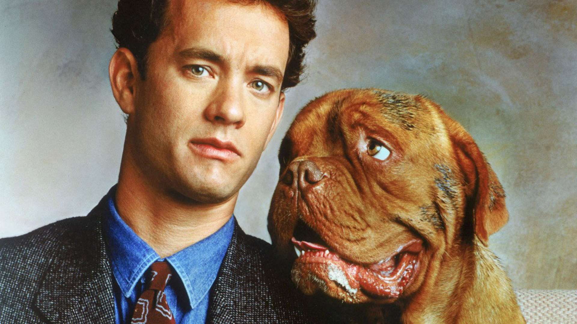 Turner & Hooch Wallpapers