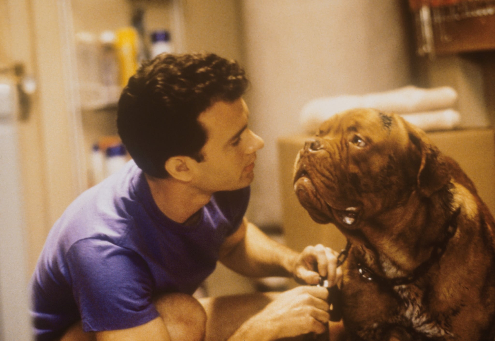 Turner & Hooch Wallpapers