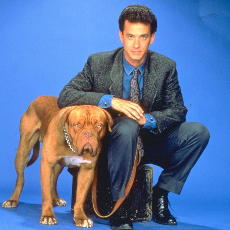 Turner & Hooch Wallpapers