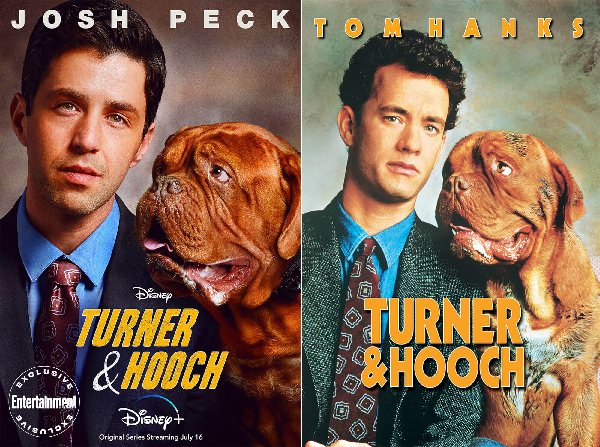 Turner &Amp; Hooch 2021 Wallpapers