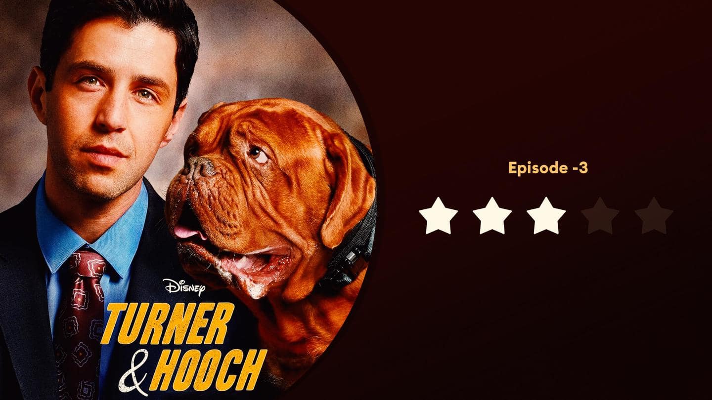 Turner &Amp; Hooch 2021 Wallpapers