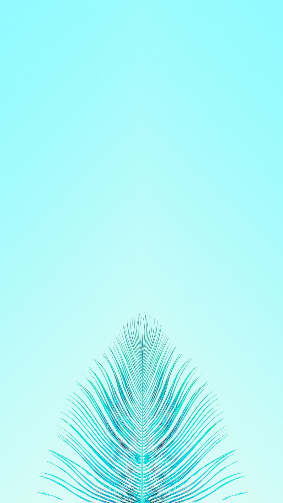 Turquoise Wallpapers