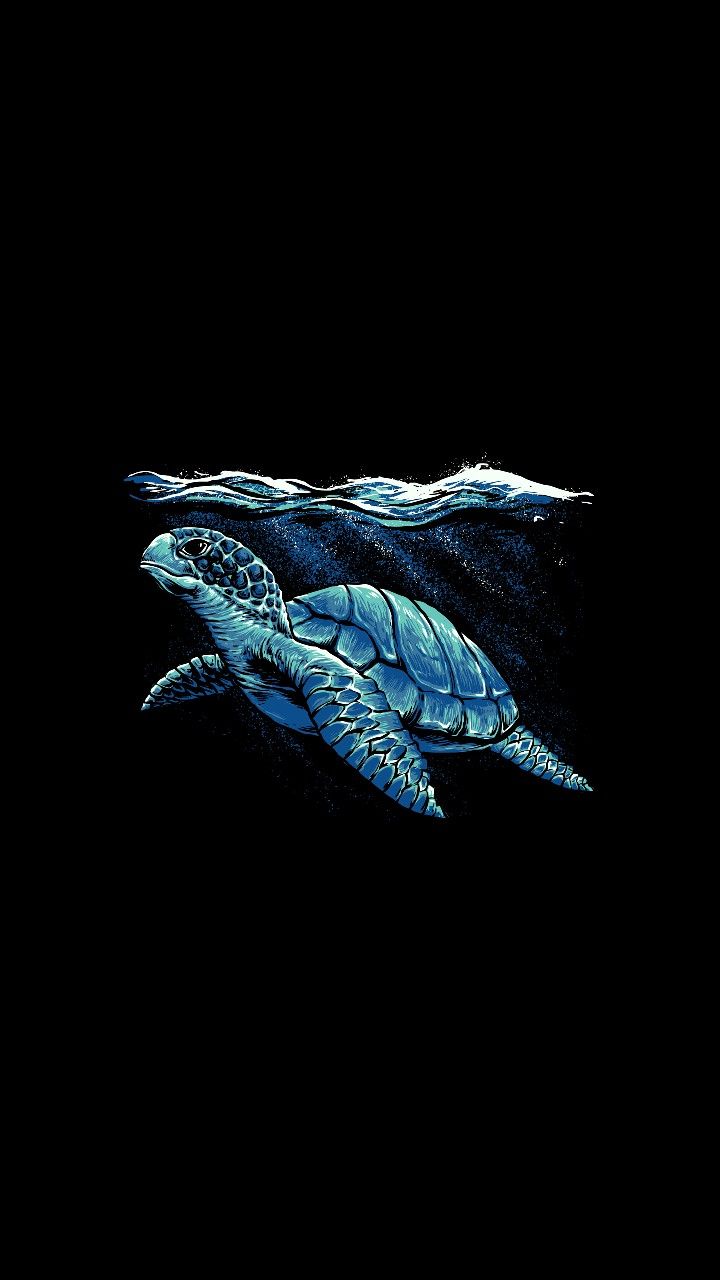 Turtle Art Wallpapers