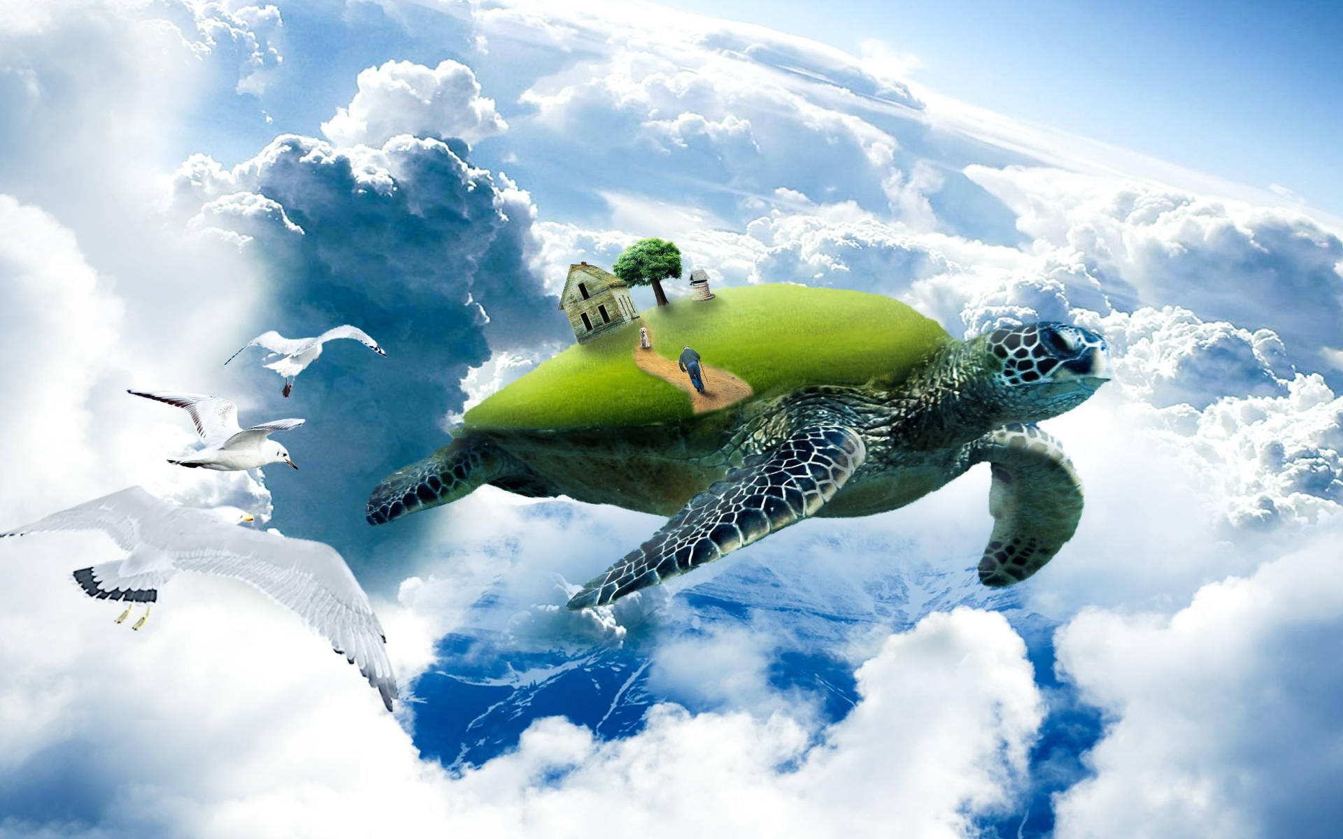 Turtle Art Wallpapers