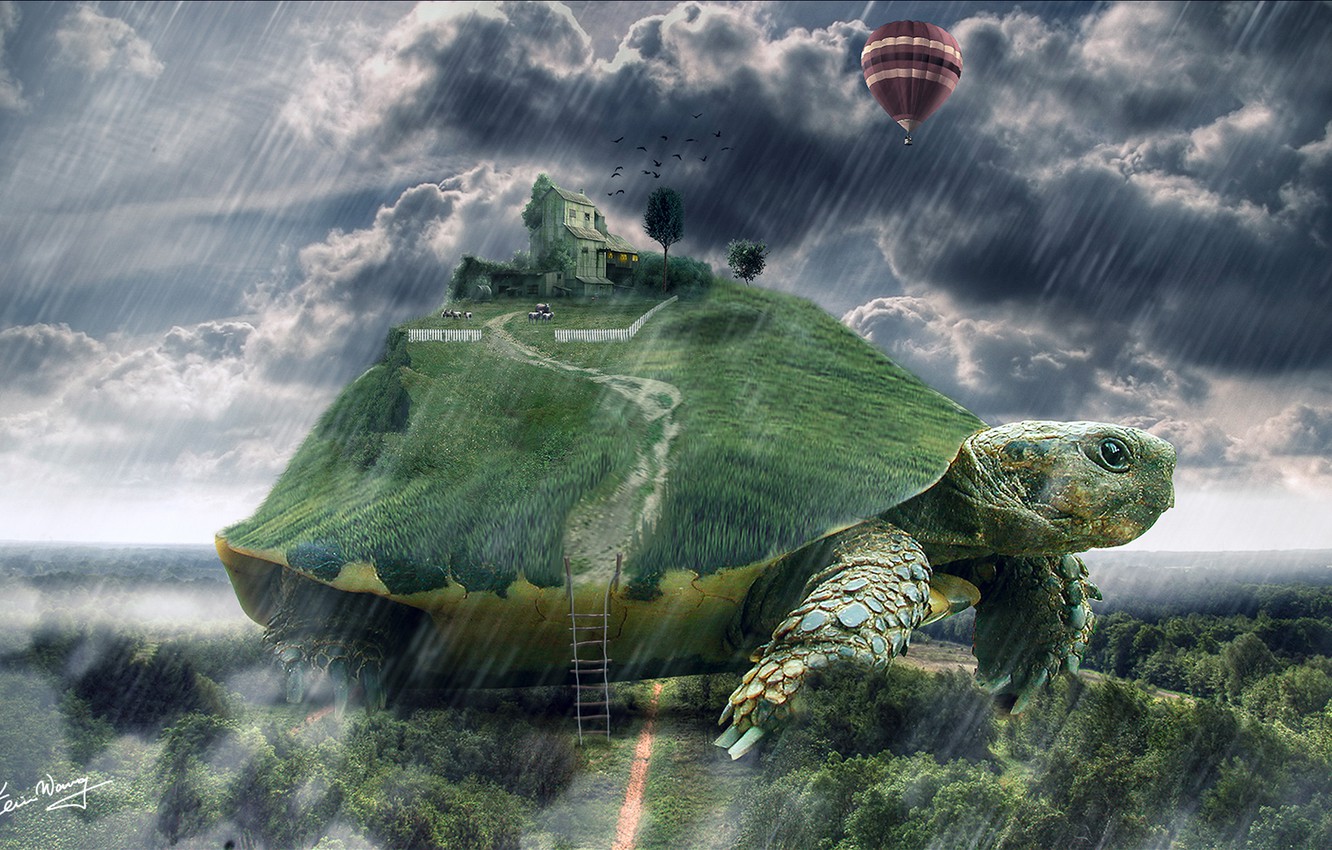 Turtle Art Wallpapers