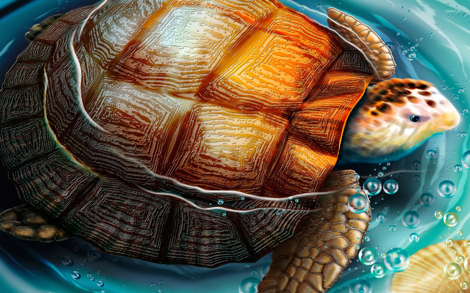 Turtle Art Wallpapers