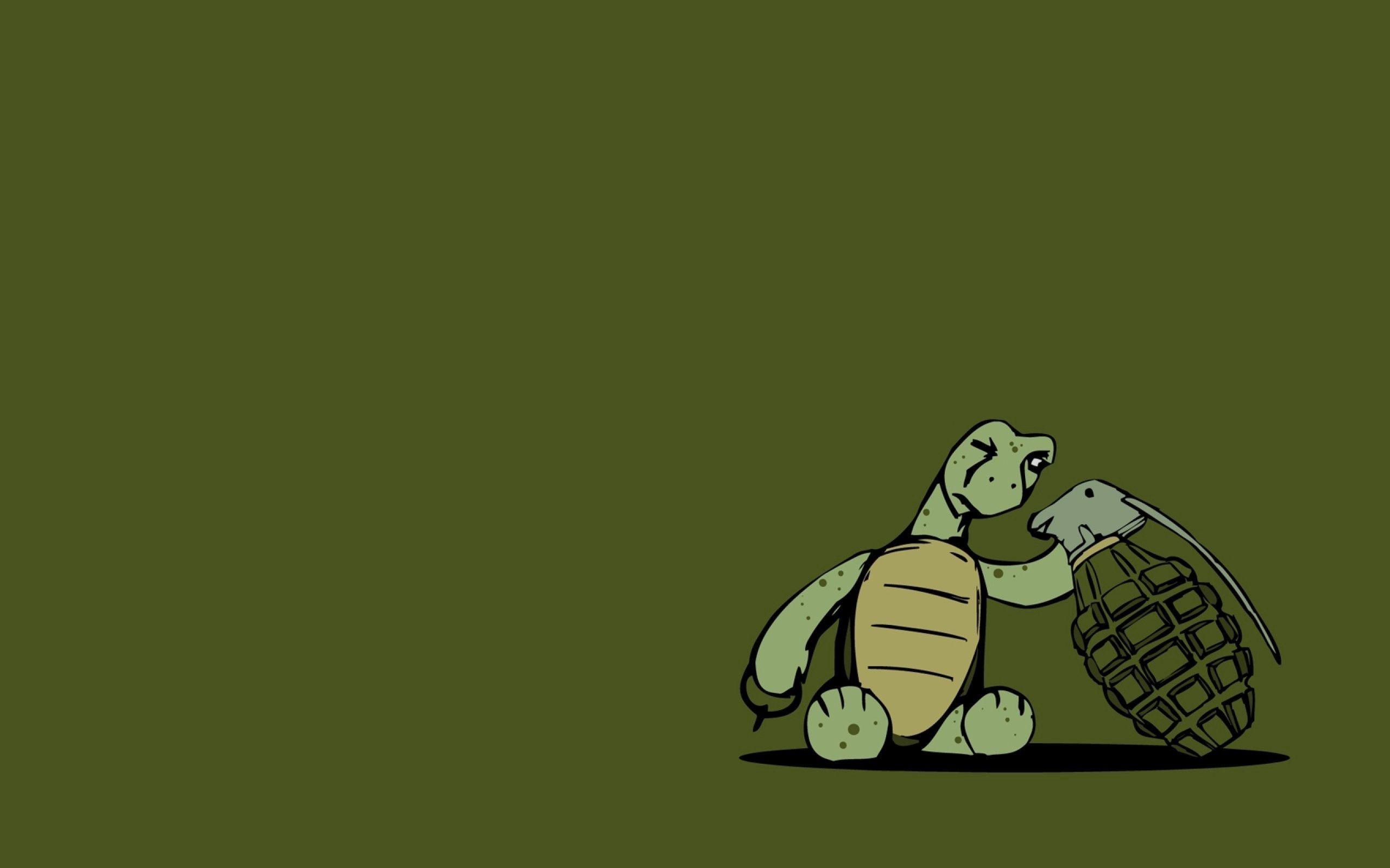 Turtle Art Wallpapers