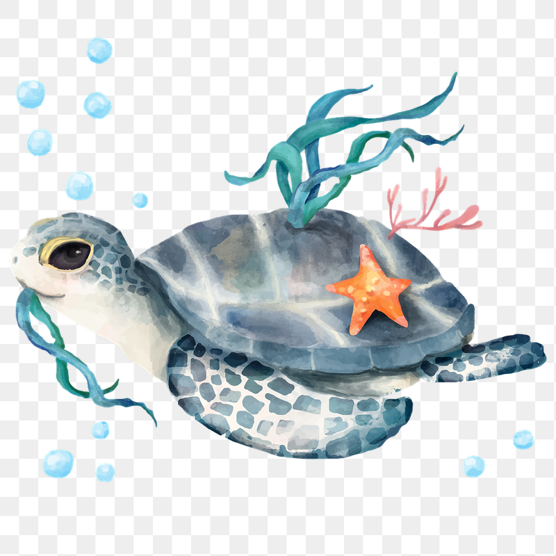 Turtle Art Wallpapers