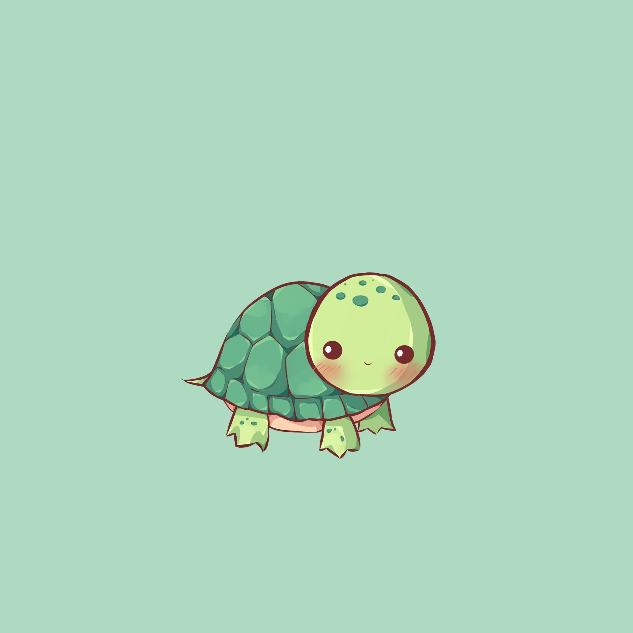 Turtle Iphone Wallpapers