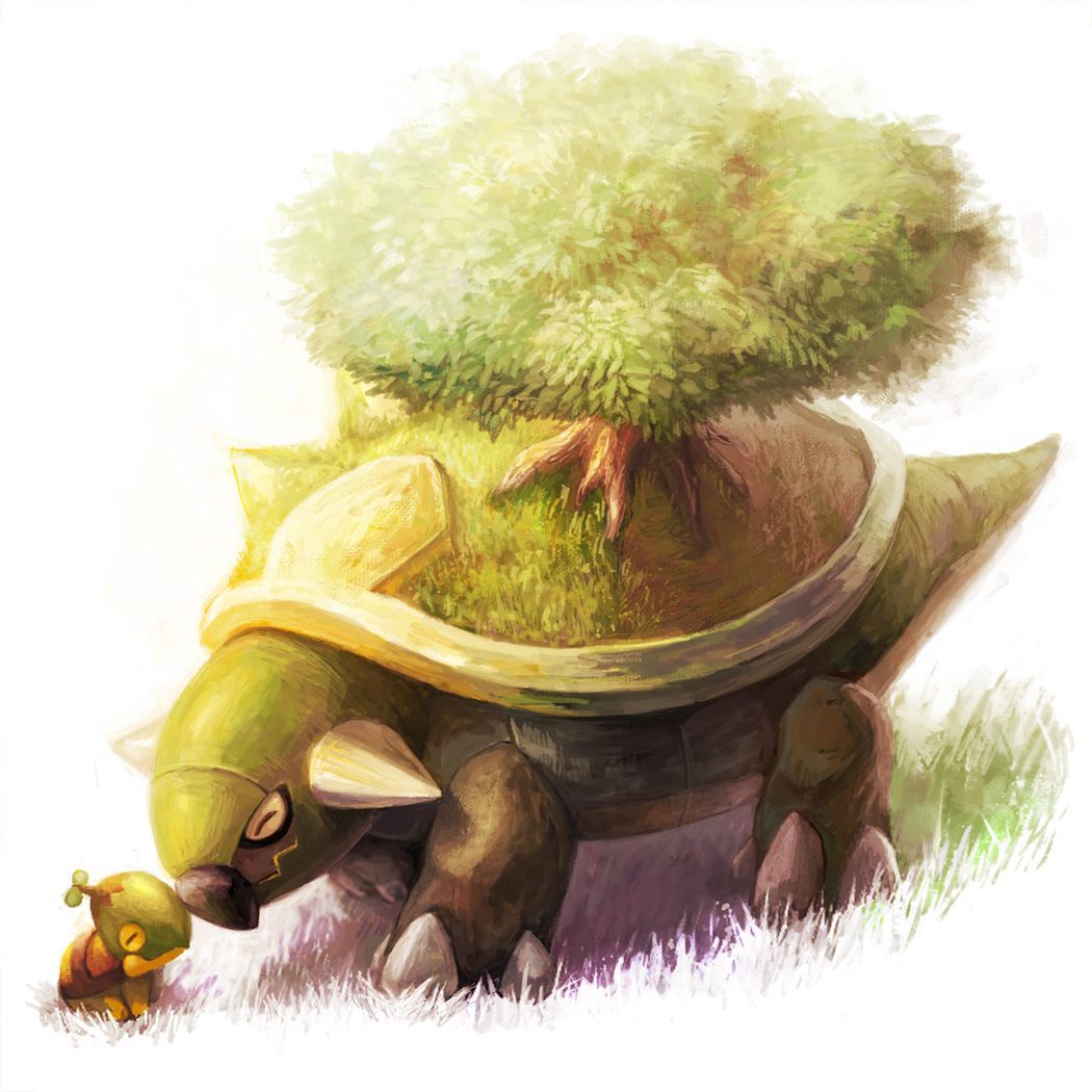 Turtwig Hd Wallpapers