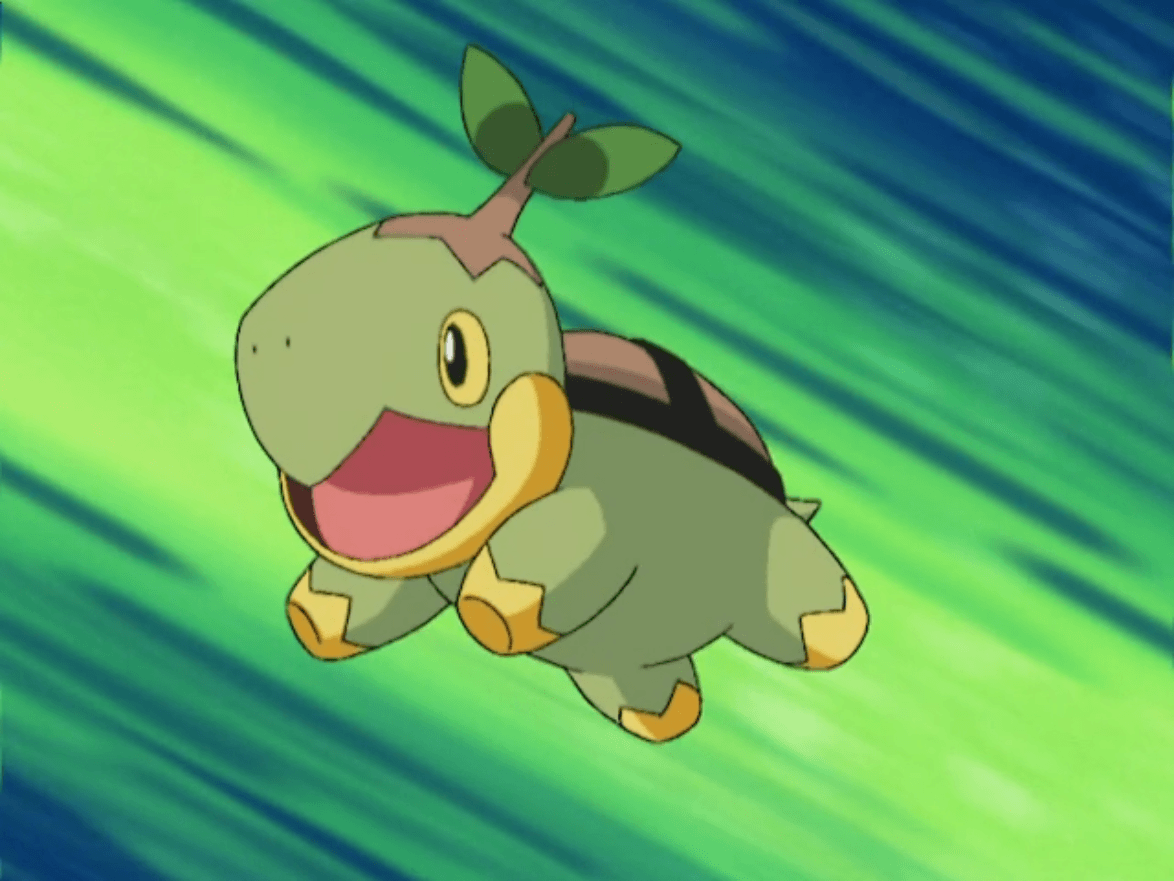 Turtwig Wallpapers