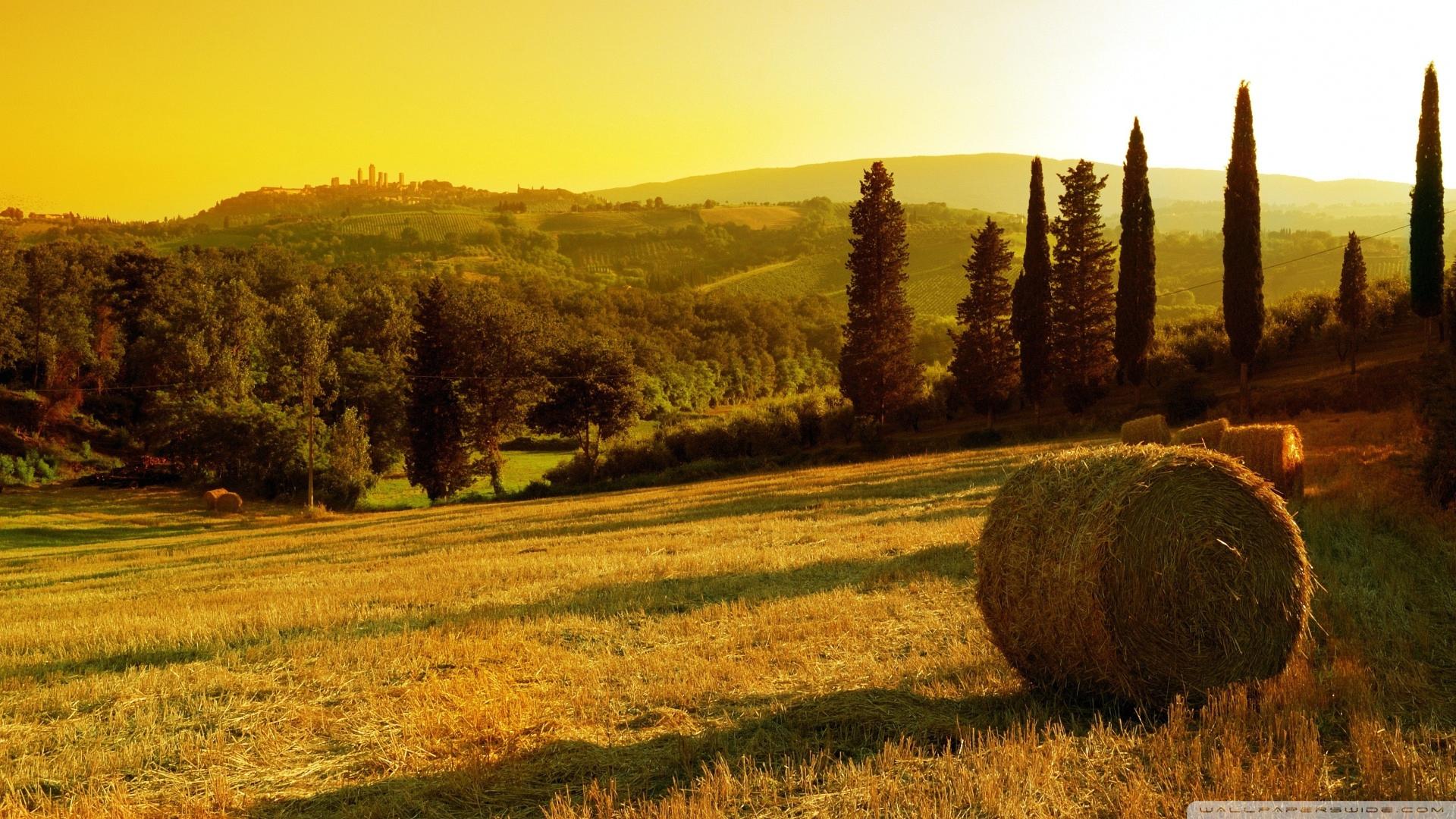 Tuscan Countryside Wallpapers