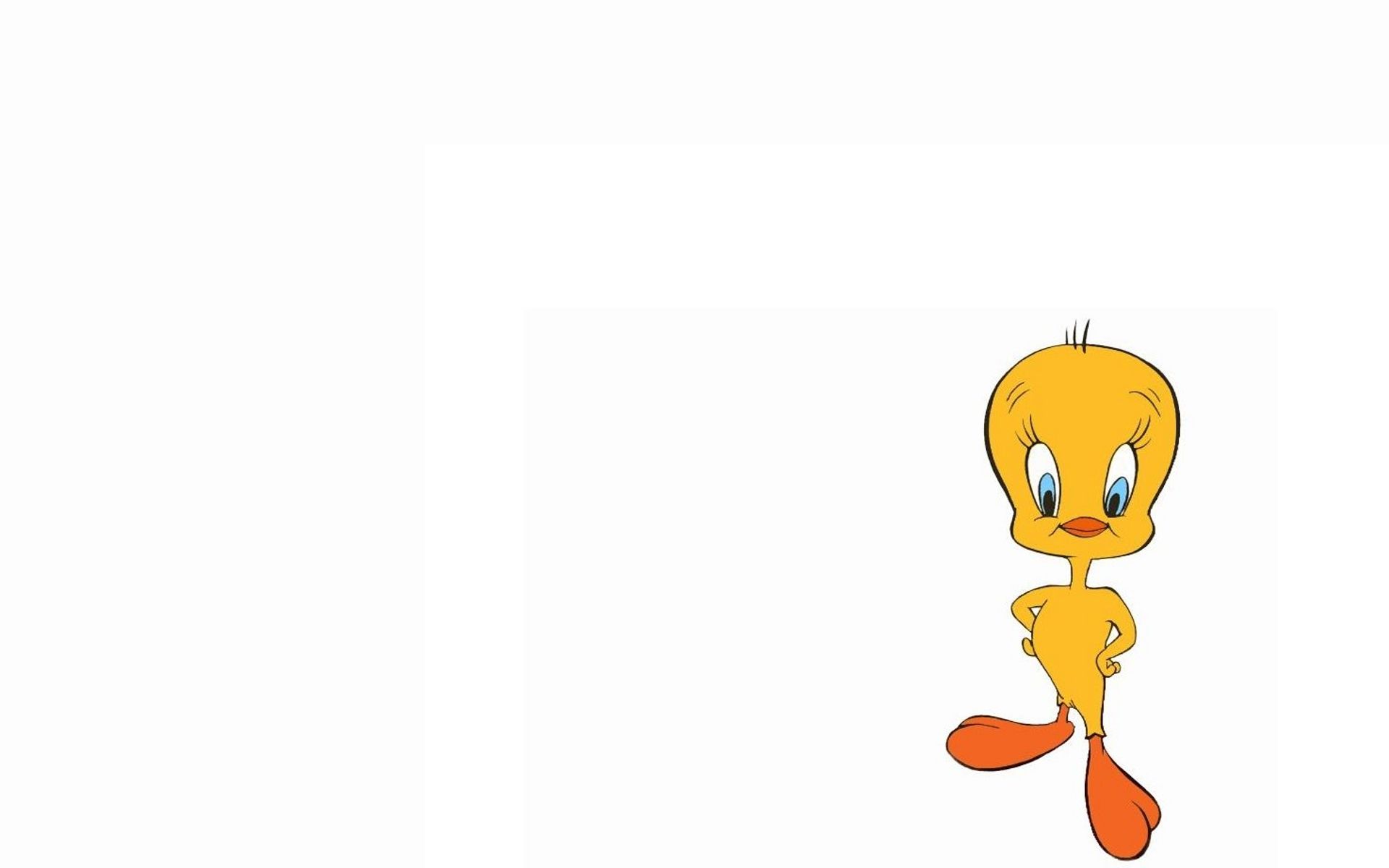 Tweety Wallpapers