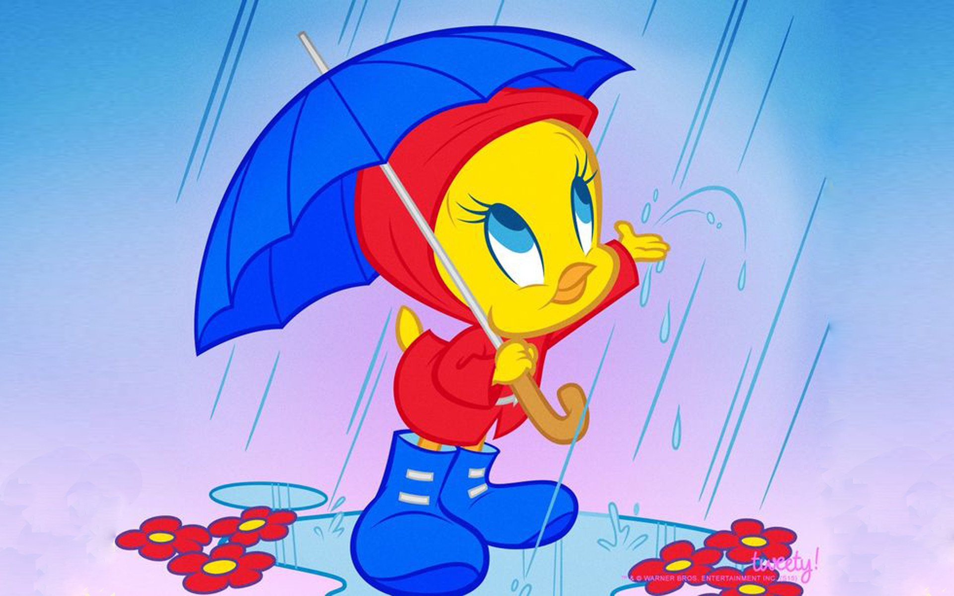 Tweety Wallpapers