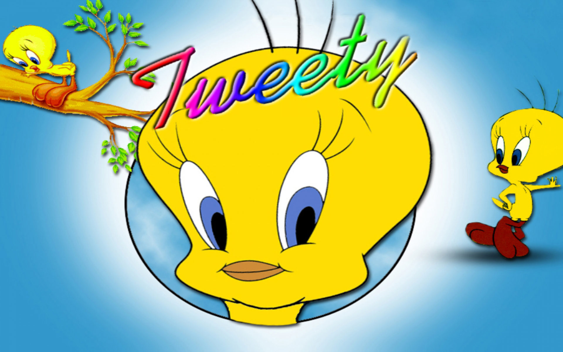 Tweety Wallpapers