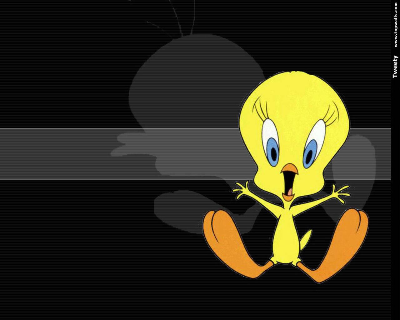 Tweety Wallpapers