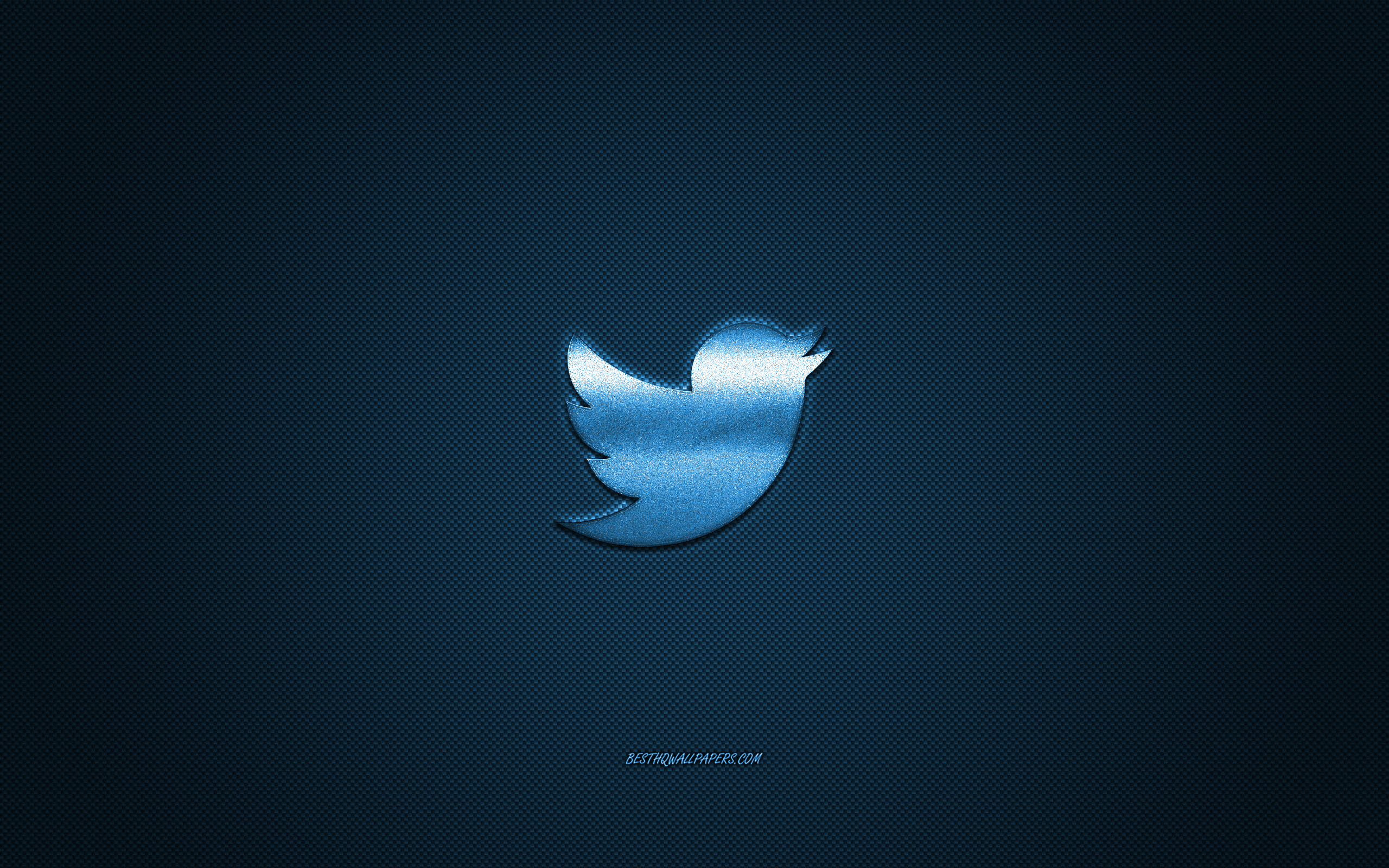 Twitter Logo Wallpapers