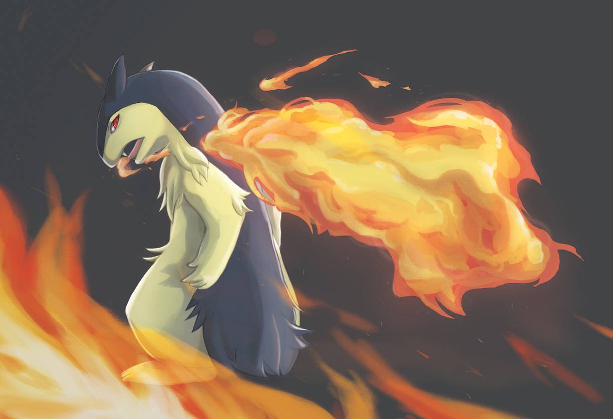 Typhlosion Hd Wallpapers