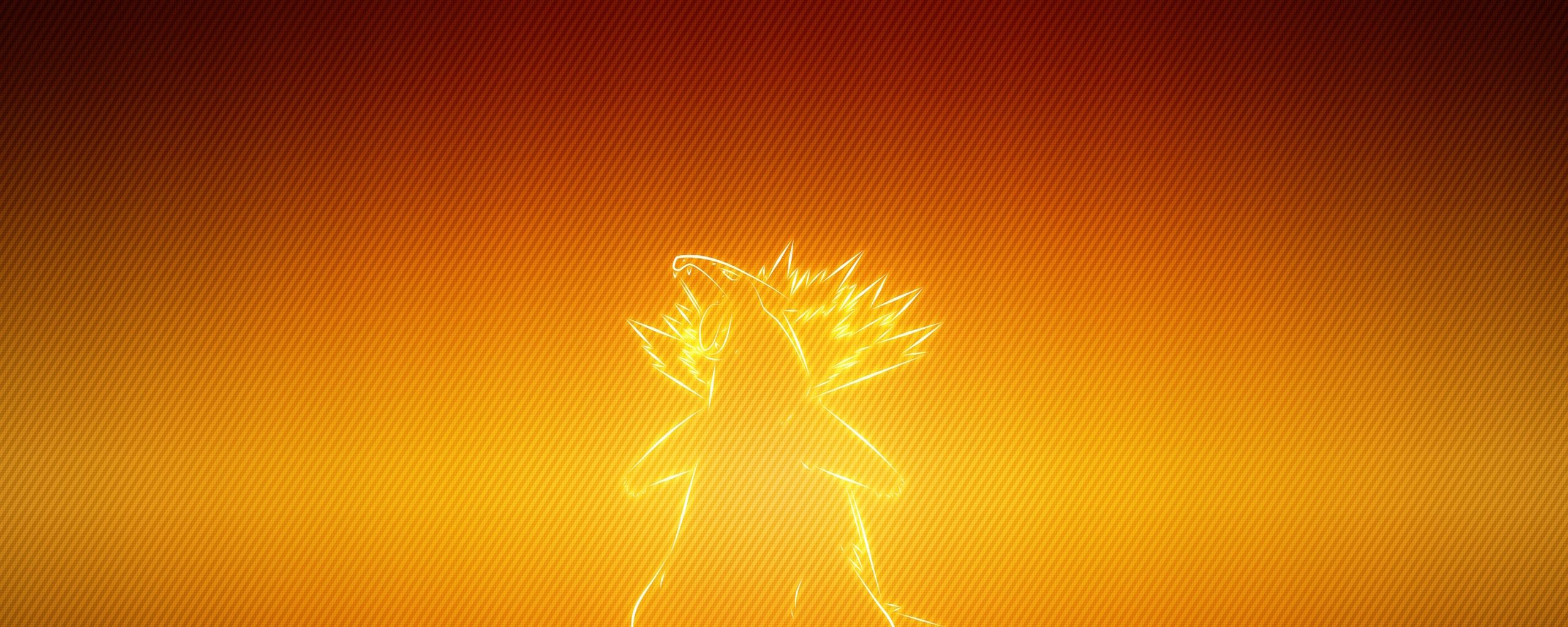 Typhlosion Wallpapers