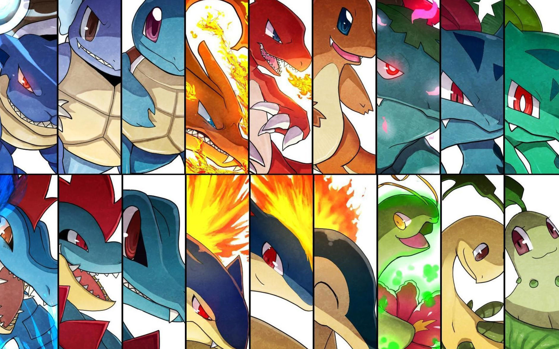 Typhlosion Wallpapers