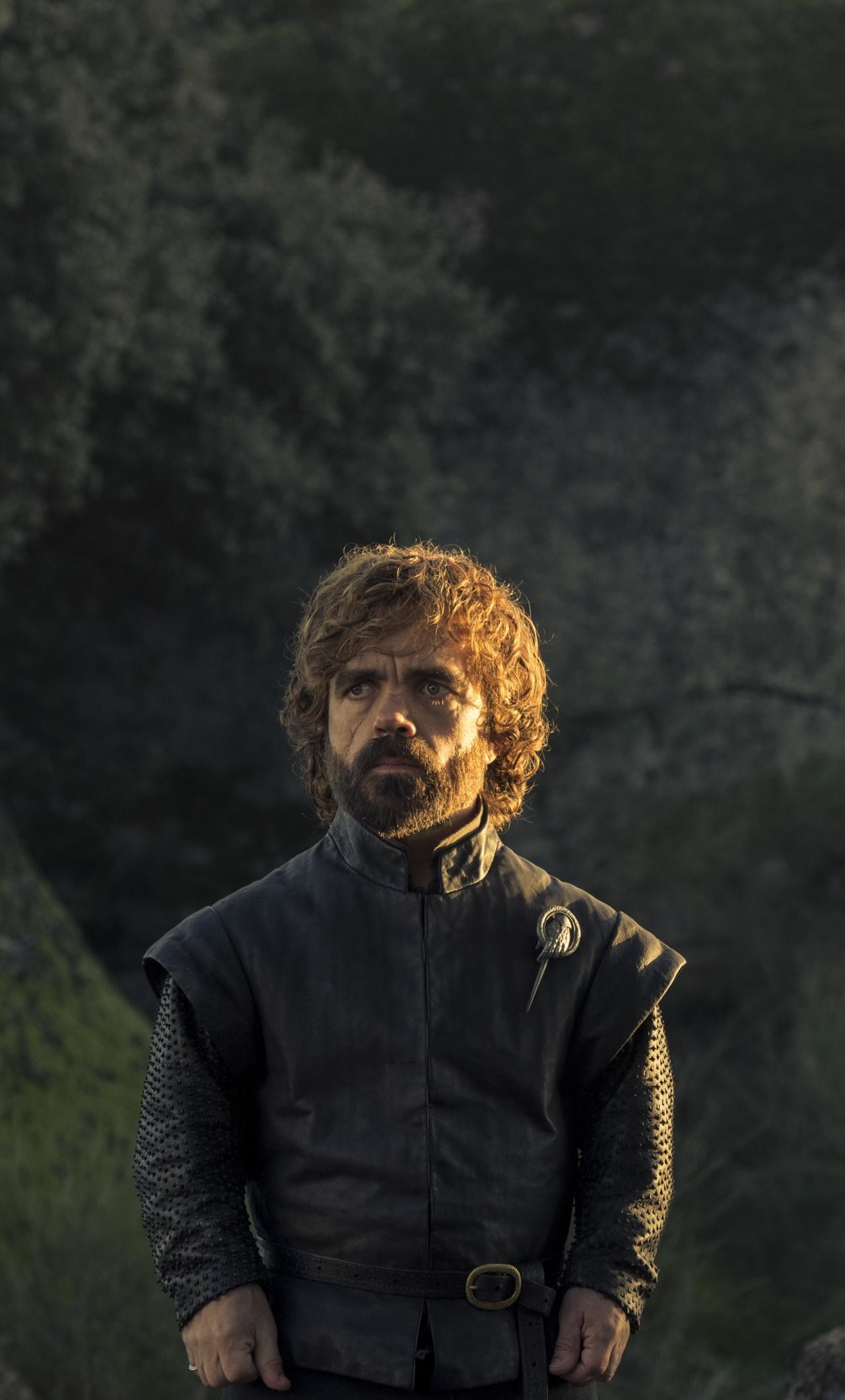 Tyrion Wallpapers